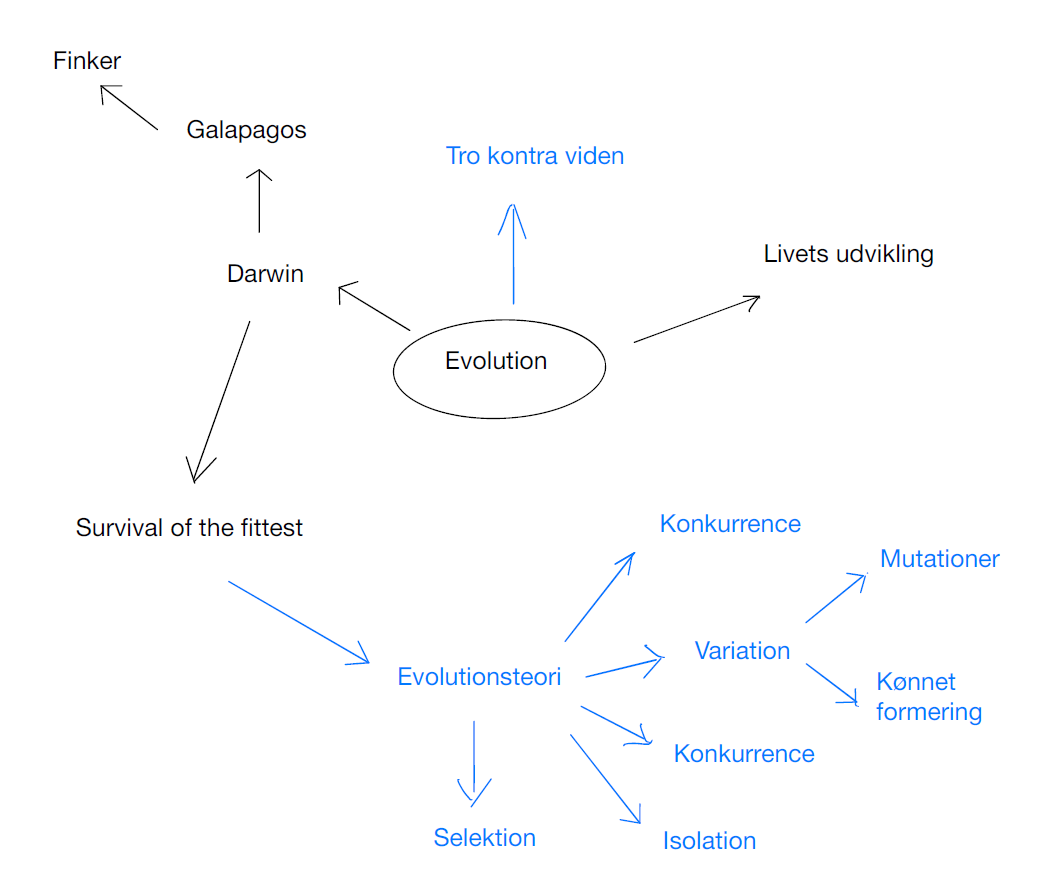 Mindmap ud fra ordet evolution lavet i programmet Cmap